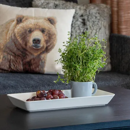 Apartman Polar Charm G By In Lapland *