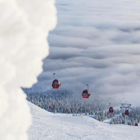 Polar Charm G By In Lapland *